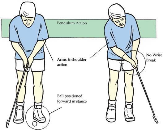 Putting Stroke The putting stroke uses only the arms and shoulders with no body or wrist action to create a pendulum action. The through-stroke will be 1½ times the length of the back-stroke.