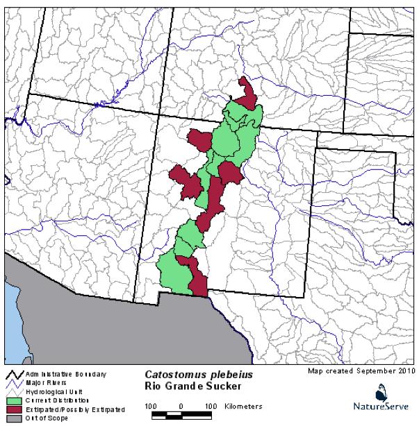 Figure 5. U.S. distribution of the Rio Grande sucker by watershed (Hammerson and Clausen 2013 at 5).