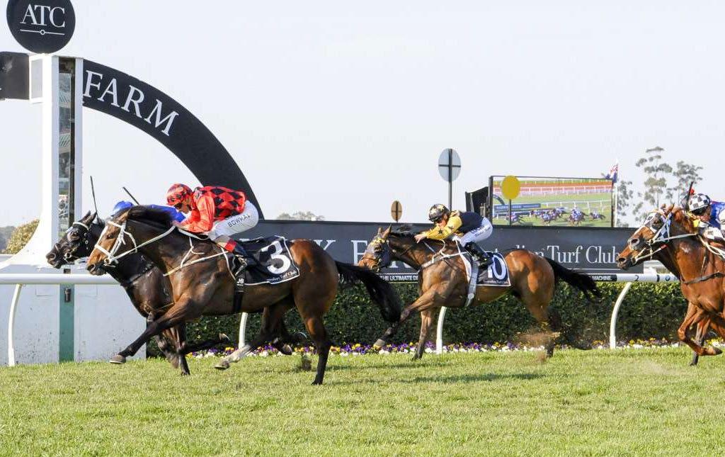 l jaminzah 4yo G Master of Design - Sarchi Lodge by Grand Lodge This consistent sort rarely runs a bad race and has been in fine form of late and he continued that run of form at Warwick Farm on