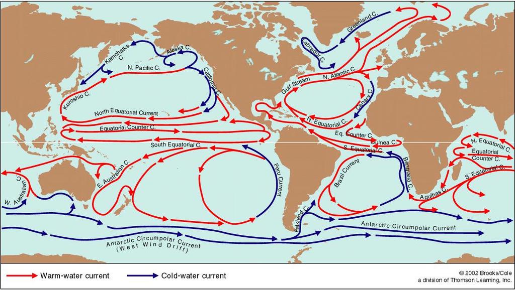 World Surface Current Gyres Notice the pattern of the world s surface current gyres:
