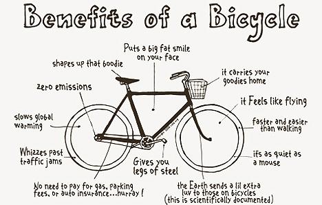 4. Arguments: benefits of cycling We all know.
