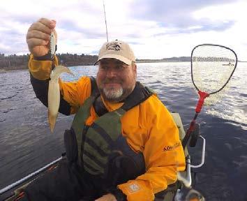 Adding Bait To The Sonic BaitFish (SBF) By Captain Pete Rosko Question: Is bait ever added to the Sonic BaitFish (SBF)? Personally, I almost never attach bait to the SBF in fresh or salt water.