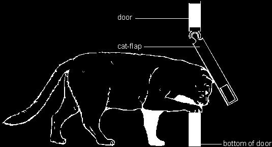 Q13. Ali made a cat-flap to fit into a door. (a) (i) On the diagram above, draw an arrow to show the direction of the force of the cat s head on the cat-flap.