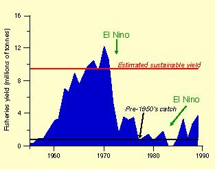 Over fishing and el Niño The rapid development of the Peruvian fishing industry coincided with a severe