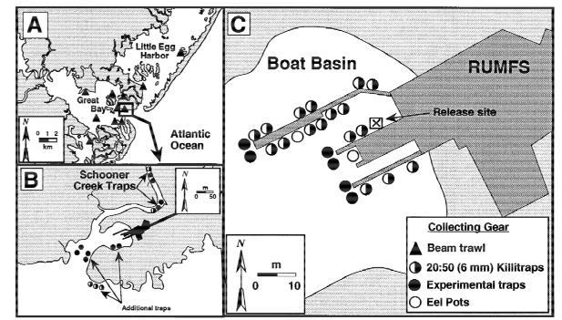 Introduction: Previous Study Able and Hales 1997: Black sea bass exhibit a high degree of site fidelity to structured habitats in