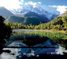 We have organized trekking extensively to probably all restricted and remote area inside Nepal.