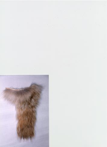 64 2150-1 Animal Tails BADGER TAILS BEAVER TAILS 18-01-M Badger tails are not available for sale in Indiana. (Taxidea taxus, or the USA 18-01-S Badger Tail:2-3 $2.25 18-01-M Badger Tail:3-5 $2.