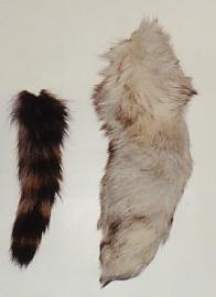 66 2150-3 Animal Tails (Fox) NATURAL FOX TAILS The Arctic Fox Tails are very silky and