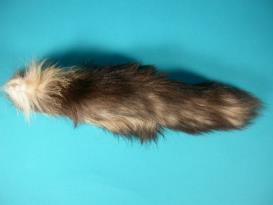 The Blue Fox Tails are very full tails, but typically not as bushy as the silver or