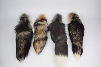 Tail: Assorted Vulpes vulpes Mixed Various Canada $15.00 $12.