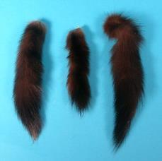 18-16 Australian Opossum Tail $2.75 18-13 18-SK-x SABLE TAILS The sable tails are 6 to 10 long. (Martes Americana, 18-13 Sable Tail $18.