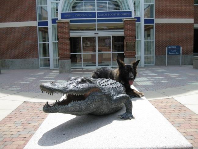 University of Florida Police