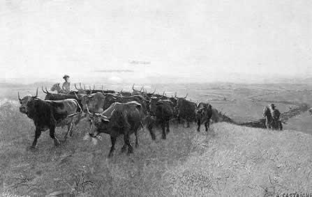 Life on the Trail Cowboys represented many ranchers and supervised may herds on the cattle drives.