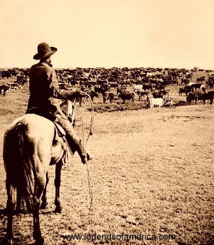 The Cattle Drives During one large cattle drive in 1866, cowboys moved about 260,000 cattle north over the Sedalia Trail, which became known