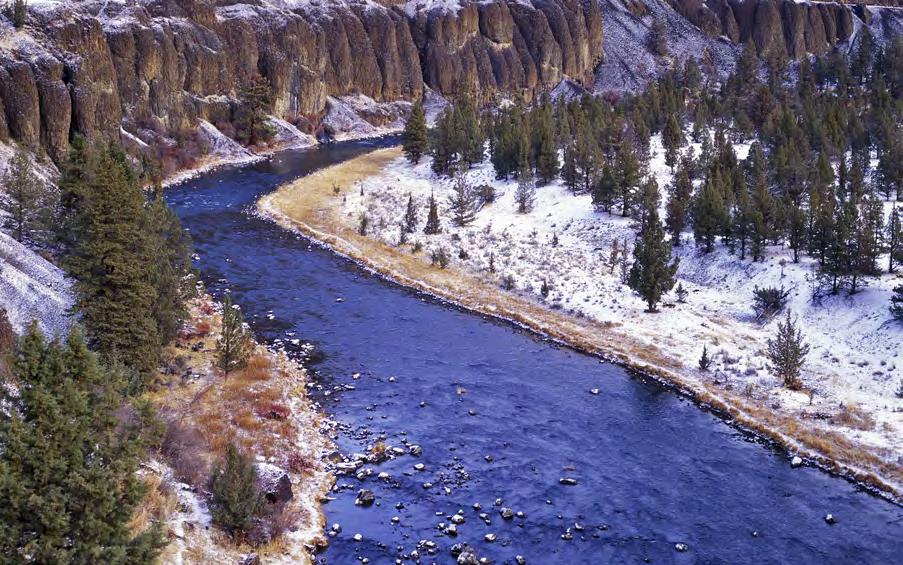 The Crooked River is home to populations of western ridged mussels.