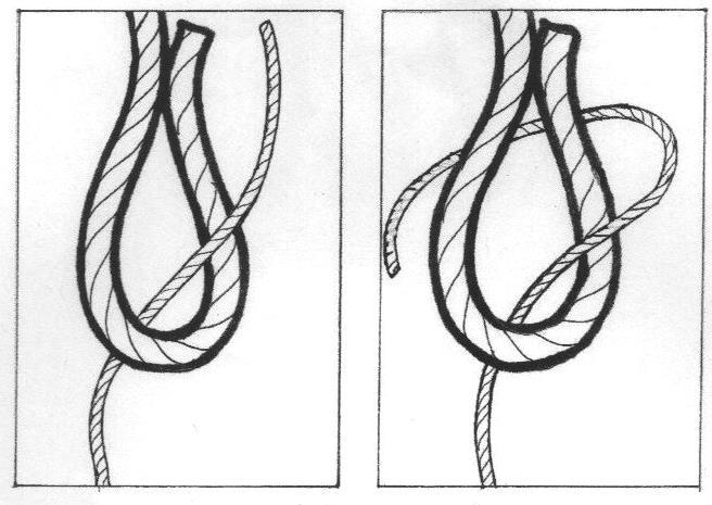The Sheet Bend 1. Form a bight in the thicker of the two ropes. 2. Pass the working end of the thinner rope up through from the underside of the bight. 3.