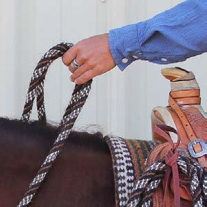 If using the snaffle or hackamore, the test may be ridden one handed but must remain either