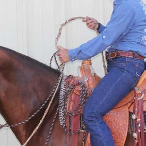stage is used as a transition between bosal and straight-up in the bridle.
