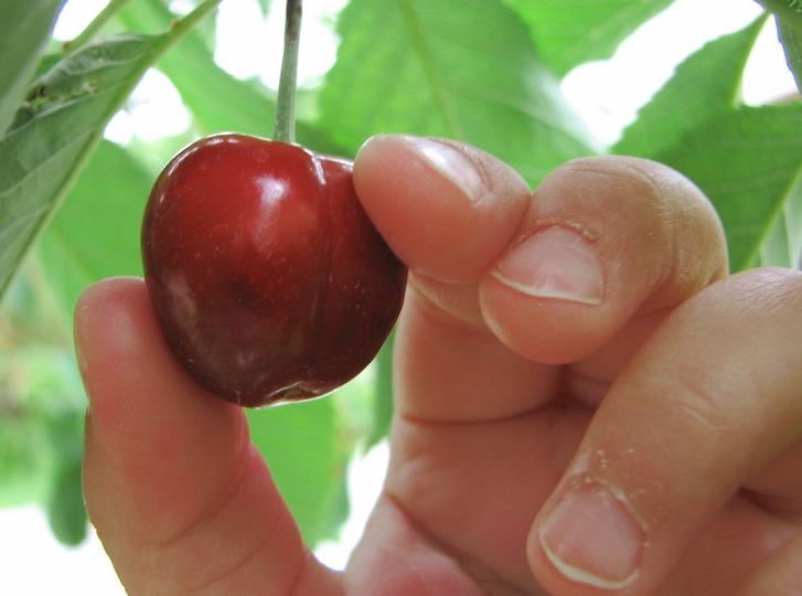 Avoid: Cherry-picking practices We use Scrum