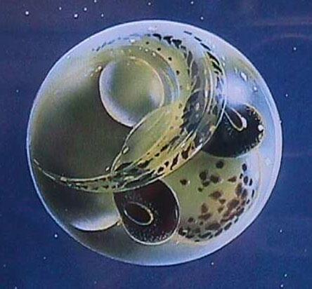 Early Life History Embryology 5) Embryology after fertilization Chorion hardens = water hardening Early Life History Embryology 5) Embryology Oviparous egg laying Viviparous develop inside mother =