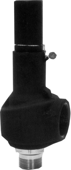 Consolidated Safety-Relief Valves - Options 1982 Conventional Valve This product is normally supplied with screwed inlet and outlet connections.
