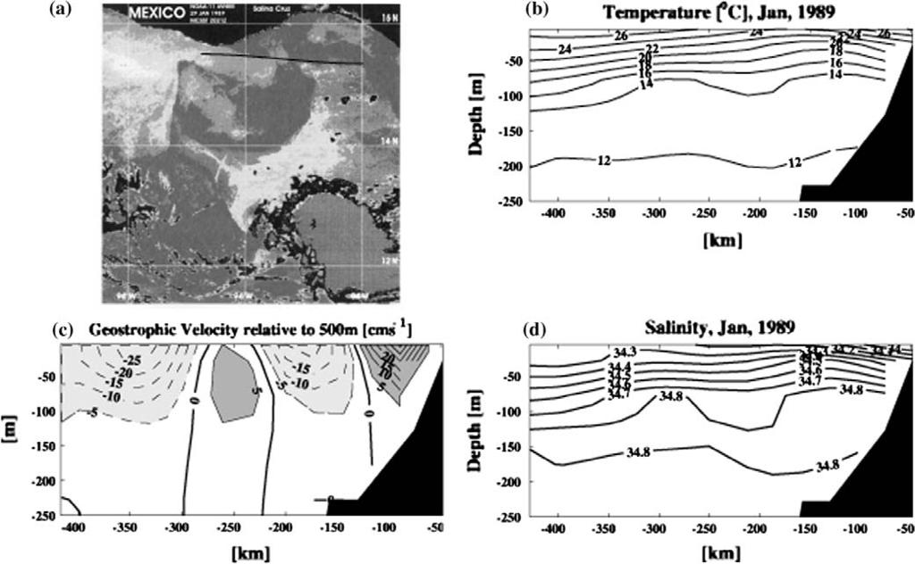 226 C.S. Willett et al. / Progress in Oceanography 69 (2006) 218 238 and showed eastward advection of warm water along the coast. The anticyclonic eddy shown in Fig.