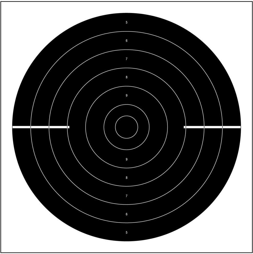 25m Rapid Fire Pistol Target USAS 6.3.4.