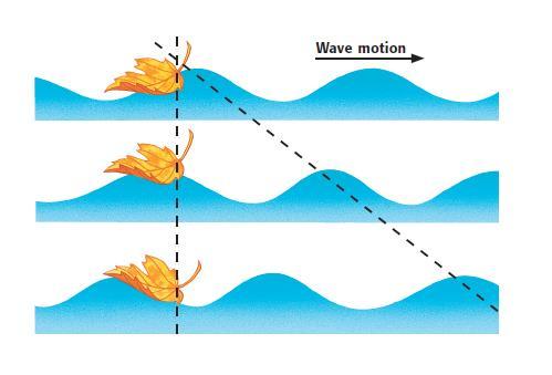 A wave is a disturbance that transmits energy.