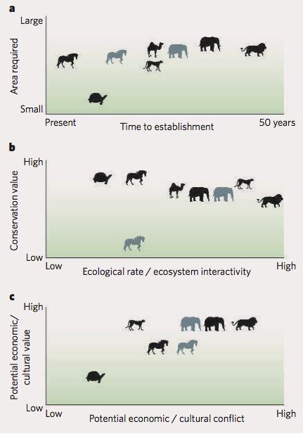 1. Pleistocene Rewilding A controversial Idea Pleistocene re-wilding in North America. Symbols represent horses (Equus caballus and E. asinus in black; E. przewalskii and E.