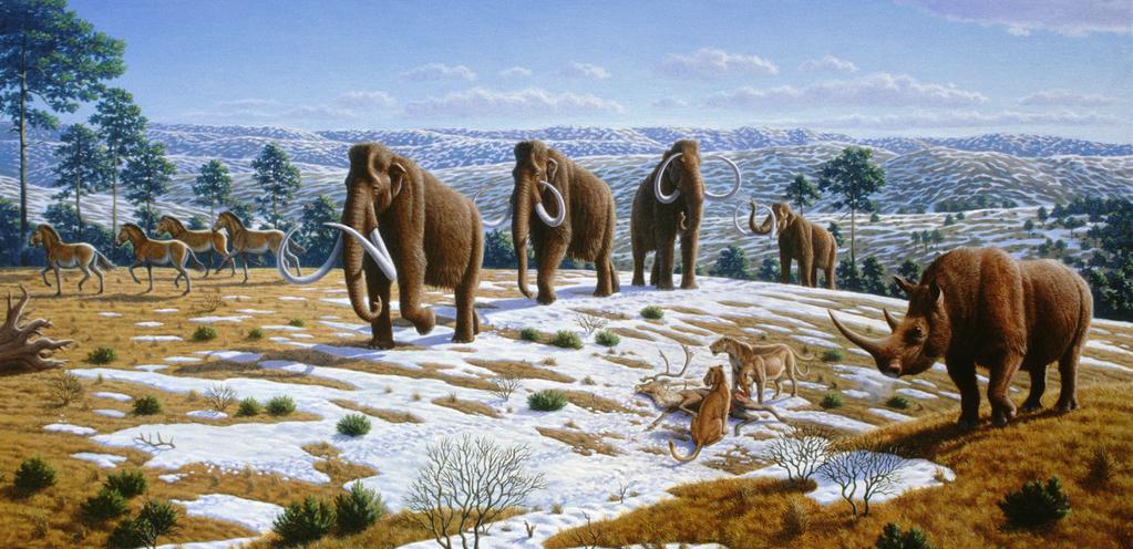 1. Pleistocene Rewilding A controversial Idea or an optimistic alternative to the grim projected losses of biodiversity? Woolly mammoths were driven to extinction by climate change and human impacts.