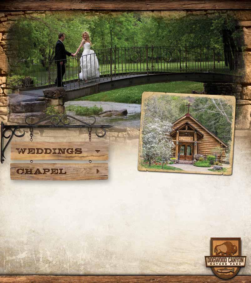 HOPE WILDERNESS CHAPEL Dogwood Canyon hosts numerous weddings throughout the year. Full wedding packages are available.