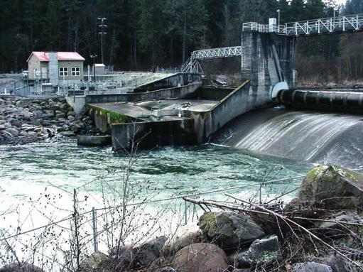 NEWS AND VIEWS: PERSPECTIVE 1081 Fig. 1 The Powerdale Dam, Hood River Oregon.