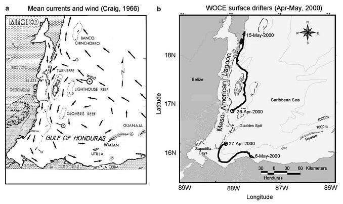 50 Figure 2.15. Observed flow field near the meso-american barrier reefs after Ezer et al. (2005). A.