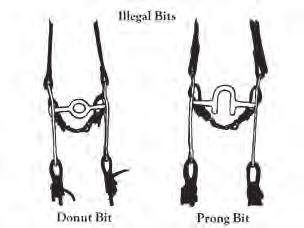 Correct method of measuring overall bit length. A vertical line from the uppermost part of the headstall slot to the rein ring. CLASSES D.