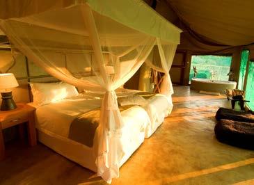 Today, the Sanctuary Retreats portfolio of luxury safari lodges and expedition ships brings a much wider choice