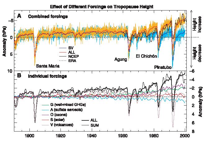 Trend and anthropogenic forcing