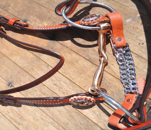 on Western bits: four to five inches on an English bit as opposed to up to eight or nine inches on a Western one. The English curb bit is often used in a double bridle.