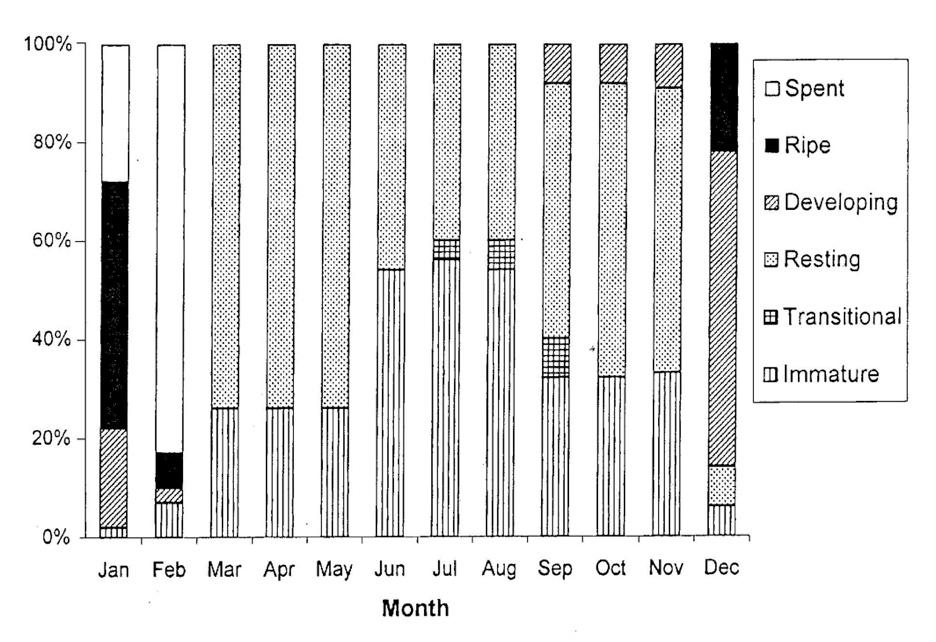comm. to R. Hill, NMFS SEFSC, 2012; D. Olsen, Chief Scientist - St. Thomas Fishermen s Association reporting the findings of R. Gomez VI DFW, pers. comm. to R. Hill, NMFS SEFSC, 2012) rather than during the winter months, although further work is needed to fully document these observations.
