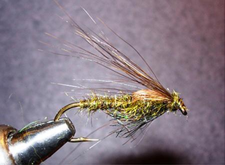 The Leader July 2015 Bill Carnazzo Fly Tyer s Corner (Taken from the Article Written in July 2011) Fly Patterns - Bill s Swimming Hex Nymph Materials: Hook: TMC 300 or similar hook, size 8 Weight: 3