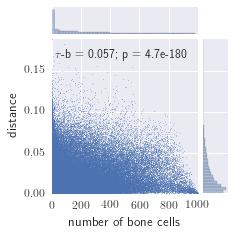 The upper quantile increases its number of bone cells, showing that the evolutionary process is slowly increasing the number of bone cells in the