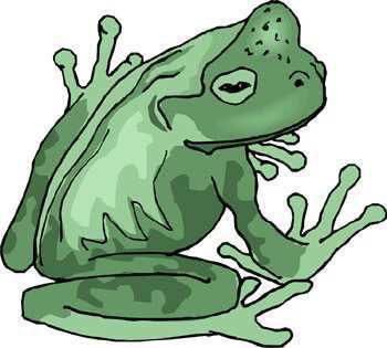Amphibian Fact Card #1 Amphibian Fact Card #2 Frogs, toads, and salamanders