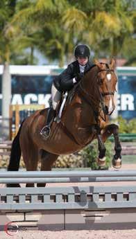 Over two days of competition Jim Anderson, from New York City, dominated the Camping World Adult Amateur Hunter 50 and Over section B with Maria