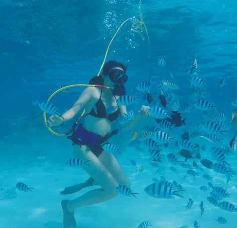 SNUKA SNORKEL Activity description: Discover a new way to explore the underwater world on a private Snuka excursion, ideal for