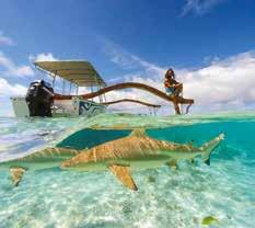 rays. Board a motorized outrigger canoe and depart for a memorable experience
