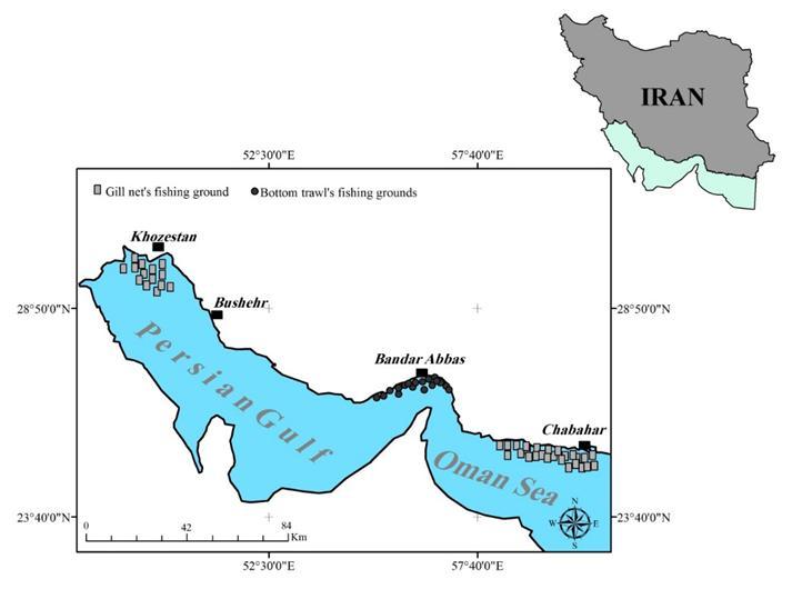 169 Kazemi et al/ International Journal of Aquatic Biology (2013) 1(4): 167-174 171 Figure 1. The map of the study area with trawl ( ) and gillnet sampling points ( ).