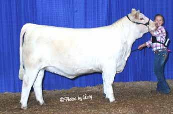 2 25 48 9 2.9 21 0.5 193.13 A good solid heifer with the pedigree and EPDs to go with it. This is one that will be a sure bet!