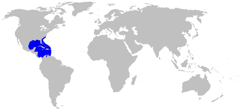 Fig. 2. Yellow stingray geographic distribution. [https://en.wikipedia.