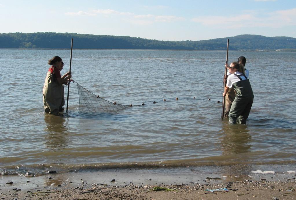 Name Date Worksheet: Where Do Fish Live in the Hudson? Many kinds of fish live in the Hudson.