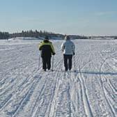 Nordic Walking in the NWT > Originated as a means for skiers to train in the off-season.