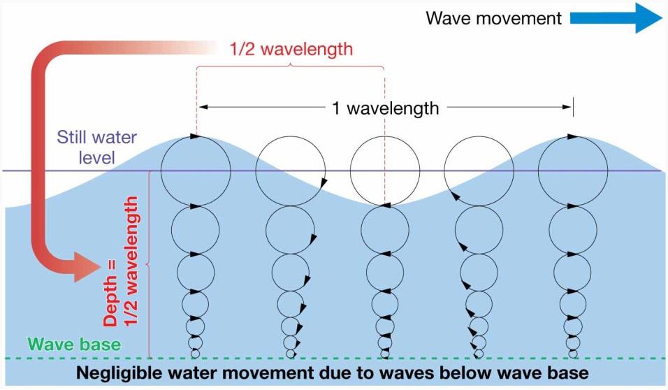 Orbital Wave Characteristics Diameter of orbital motion decreases with depth